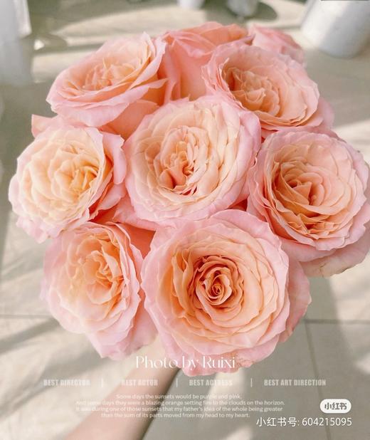 微光40公分 商品图0