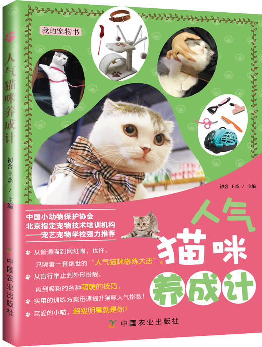 《人气猫咪养成计》猫咪饲养 商品图0