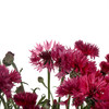 配花 | 矢车菊深粉色 商品缩略图2
