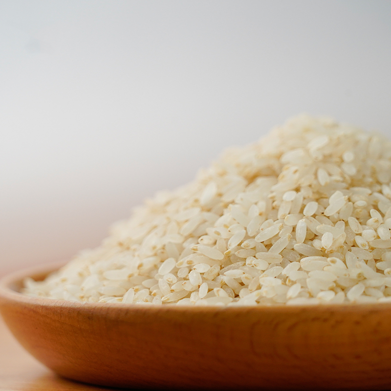 【新米上市】香畴 萌芽芽胚芽米  500g/袋