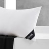 HBZX-013 HB简约纤维枕 商品缩略图2