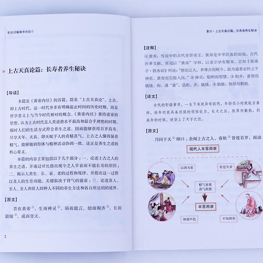 《黄帝内经》（套装4册）国学经典   彩色详解  完整无删减 商品图2