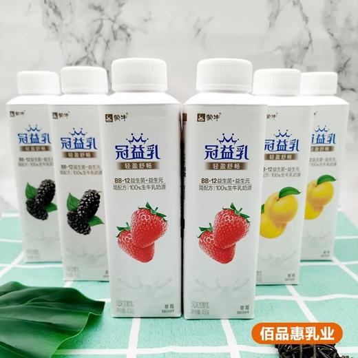 冠益乳桑葚450g 商品图1