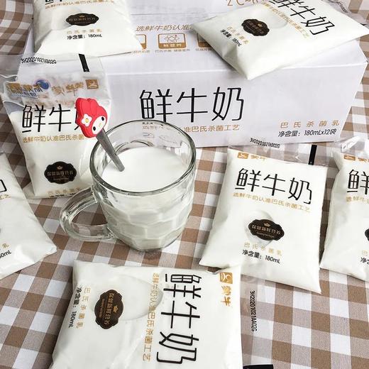 蒙牛鲜牛奶原味(袋） 商品图3