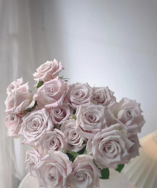 【昆明玫瑰】曼塔，20支/扎  A级 商品图5