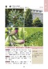 300种芳香植物识别图鉴【中国农业出版社官方正品】 商品缩略图4