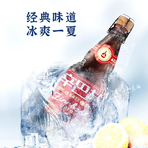 【内部员工专享】辛巴赫精酿啤酒珠峰艾尔整箱装330ml【本商城规格1件即为1瓶】 商品图0