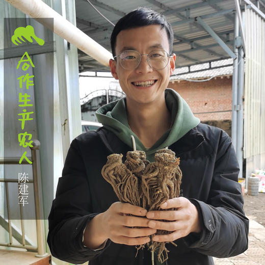 生态当归（切片，受干旱影响、个头偏小） | 合作生产 *  Eco-Salvia Miltiorrhiza | Coproduction 商品图1