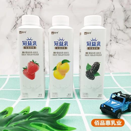 冠益乳桑葚450g 商品图0