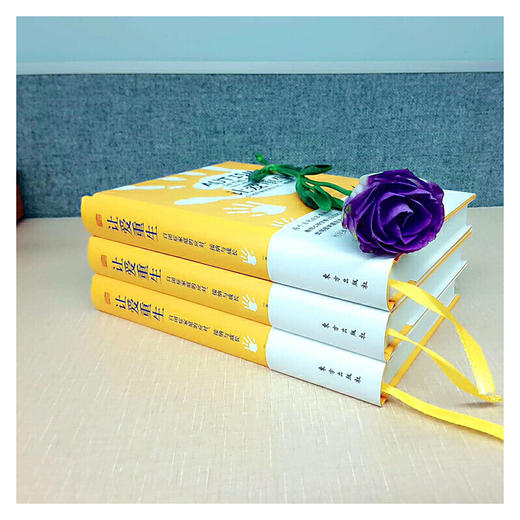 让爱重生——自闭症家庭的应对、接纳与成长 商品图2