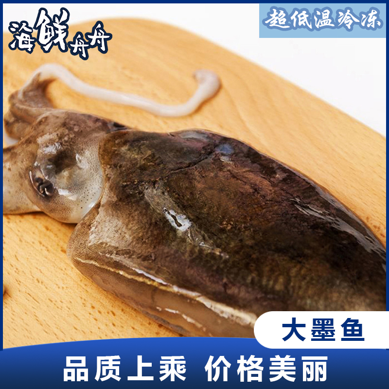 【野生】超低温 鲜冻大墨鱼