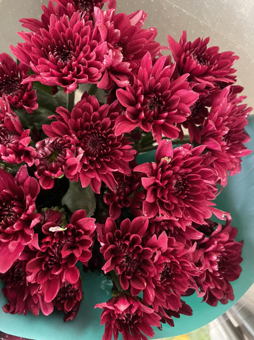 【精品小菊】红丹特 10支/扎 商品图5