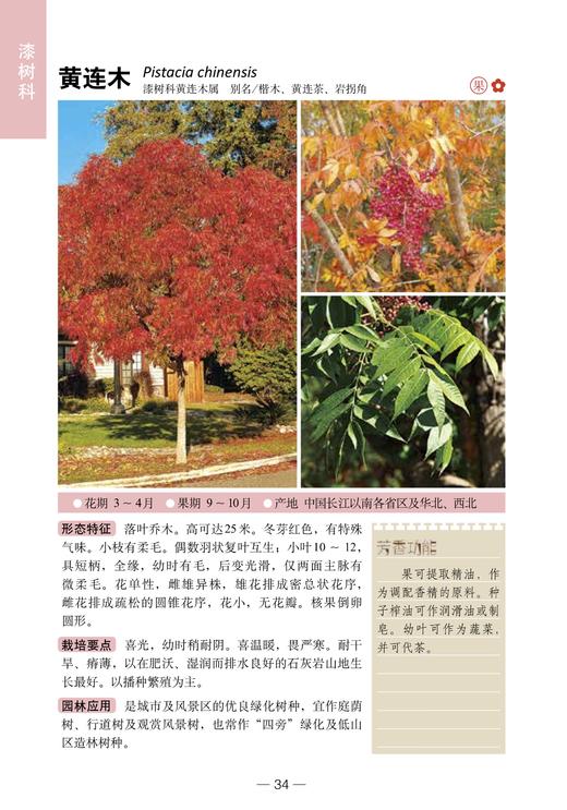 300种芳香植物识别图鉴【中国农业出版社官方正品】 商品图3