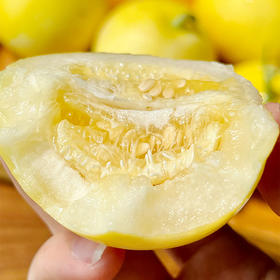 【小蜜蜂甜瓜 4.5斤】| 号称小蜜罐，食之脆，味之甜，香甜流蜜，瓜香浓郁