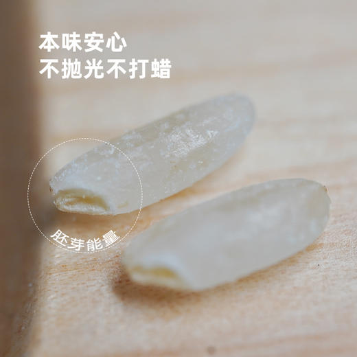 【新米上市】香畴 萌芽芽胚芽米  500g/袋 商品图2