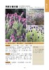 300种芳香植物识别图鉴【中国农业出版社官方正品】 商品缩略图5