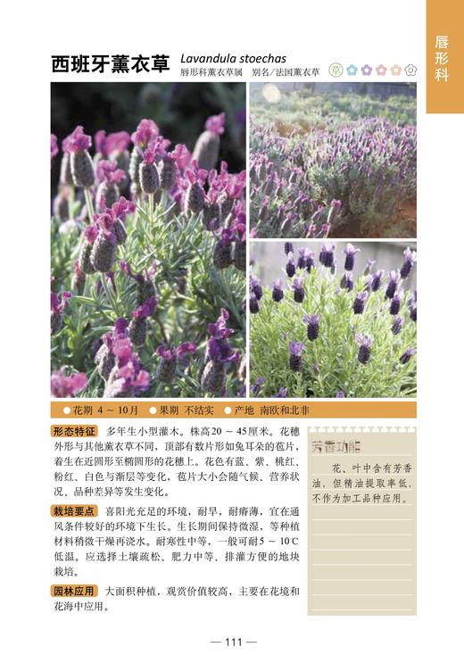 300种芳香植物识别图鉴【中国农业出版社官方正品】 商品图5