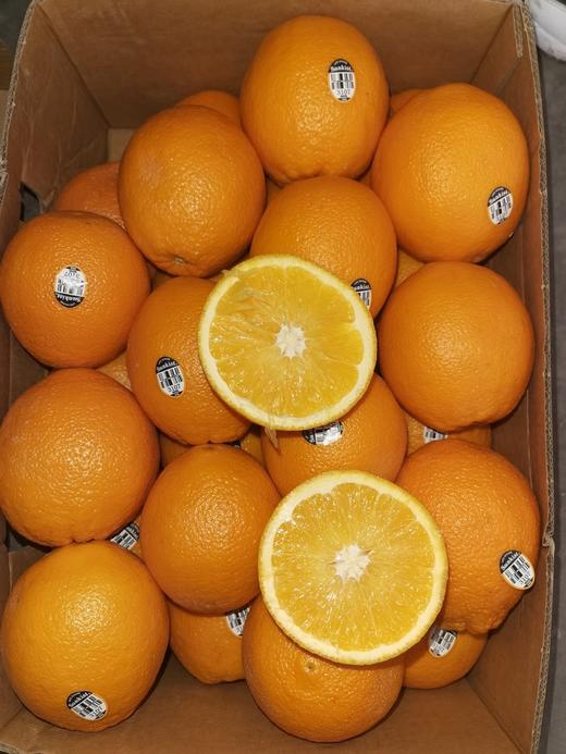 美国进口新奇士脐橙