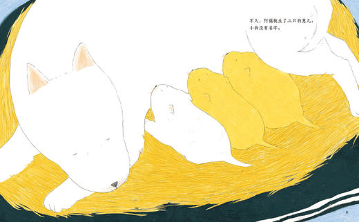 韩国图画书安宁达烟火气3册+赠品 商品图2