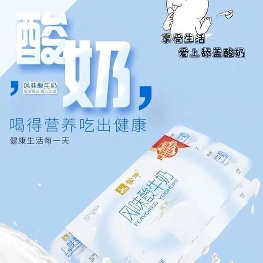 蒙牛侧贴原味酸牛奶100g 商品图0