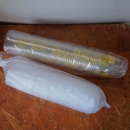 鱼缸旧版logo冰咖啡外带杯 360ml(带盖子） 1条50个 商品图0