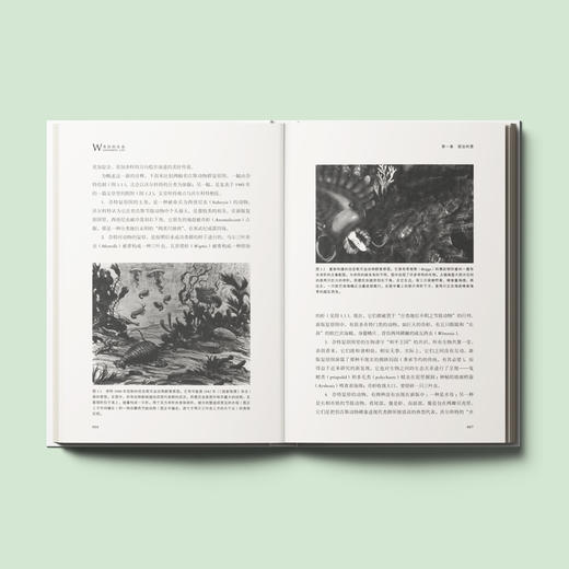 《奇妙的生命》 商品图5