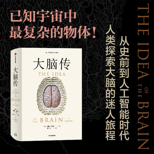中信出版 | 大脑传 陈嘉映推荐 罕见的中文通俗脑科学全史 商品图1