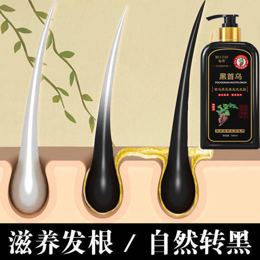 魅赞天然首何乌亮黑养发固发洗护套装1000ml 商品图6