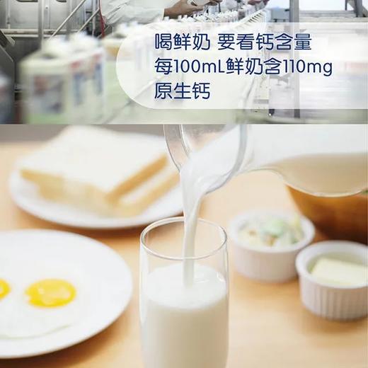 蒙牛现代牧业鲜牛奶200ml 商品图2