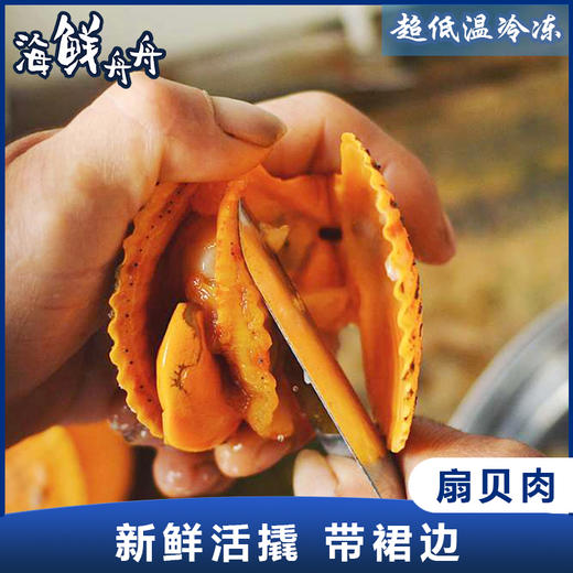 【养殖】超低温 活撬黄金扇贝肉（含裙边） 250g/盒 商品图0