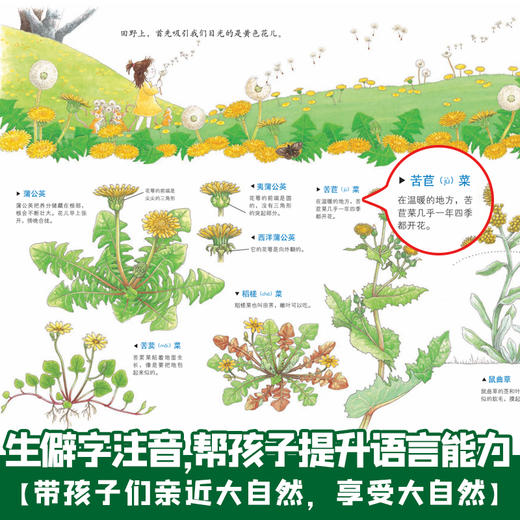学龄前-2年级自然图鉴（全5册） 商品图2