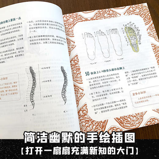 6年级+万万没想到：321个冷知识 商品图3