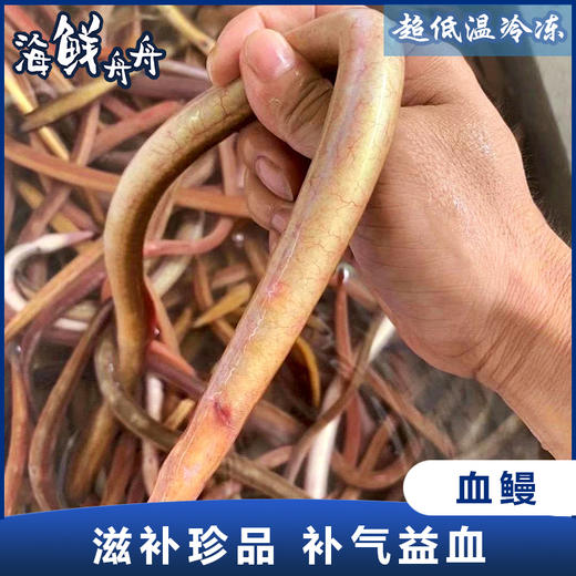 【野生】超低温 活冻血鳗 250克/盒 商品图0