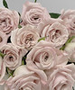 【昆明玫瑰】曼塔，20支/扎  A级 商品缩略图7