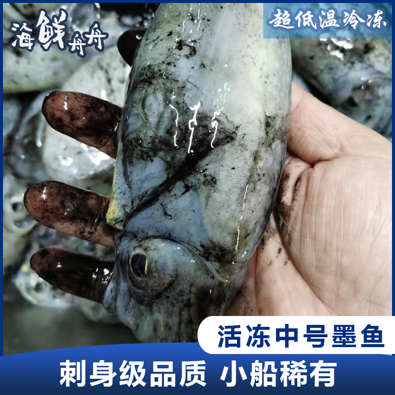 【野生】活冻小墨鱼