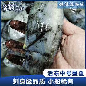 【野生】活冻小墨鱼