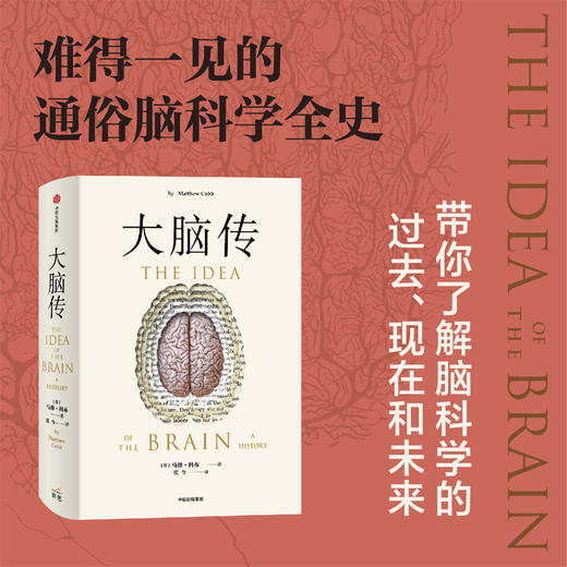 中信出版 | 大脑传 陈嘉映推荐 罕见的中文通俗脑科学全史 商品图2