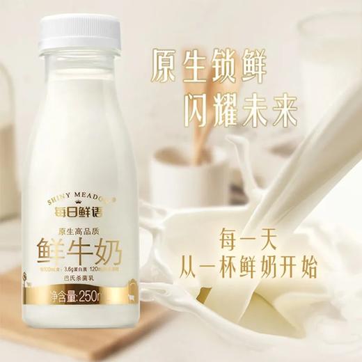 蒙牛每日鲜奶有机鲜牛奶PET250ml 商品图1