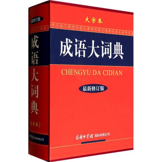 成语大词典:大字本 商品图0