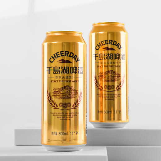 11°500ml千岛湖金版拉罐啤酒 商品图0