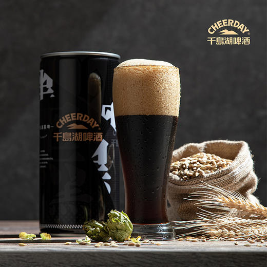 11°1L黑啤 商品图0