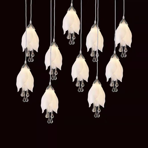 10头玉兰花吊灯（运费自理） 商品图0