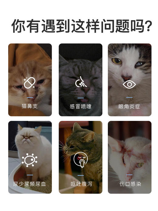 速诺猫鼻支感冒喷嚏咳嗽消yan药片克拉维酸钾猫狗通用50mg 商品图2