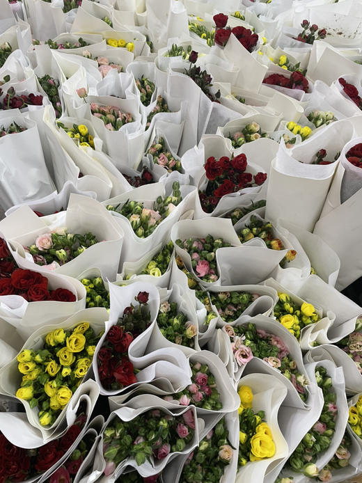 【快乐一生】蝴蝶洋牡丹 多色可选  若干枝/扎 商品图3