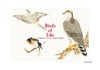 Birds of Edo: A Guide to Classical Japanese Birds/江户鸟:日本古典鸟类指南 商品缩略图0