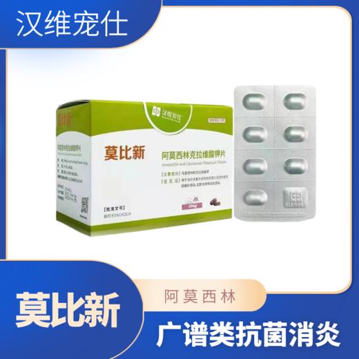 汉维宠仕丶莫比新阿莫西林（拆售无盒）7片/板 商品图0