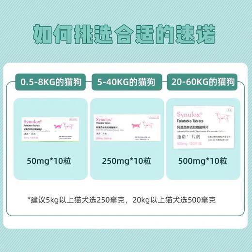 速诺猫鼻支感冒喷嚏咳嗽消yan药片克拉维酸钾猫狗通用50mg 商品图1