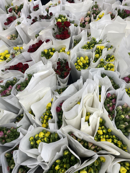 【快乐一生】蝴蝶洋牡丹 多色可选  若干枝/扎 商品图4