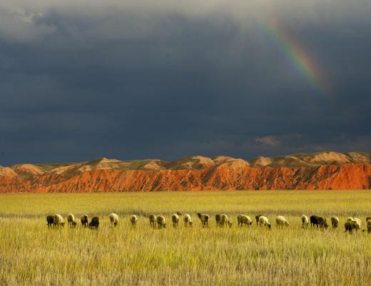 2022新疆之旅（8月12日）穿越帕米尔高原-独库伊宁大环线（大巴11日） 商品图2