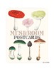 Mushroom Postcards/蘑菇明信片 商品缩略图0